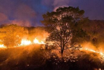 Brasil reduz em 12% emissões de gases do efeito estufa em 2023