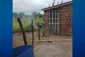 Homem é indiciado por matar cachorro