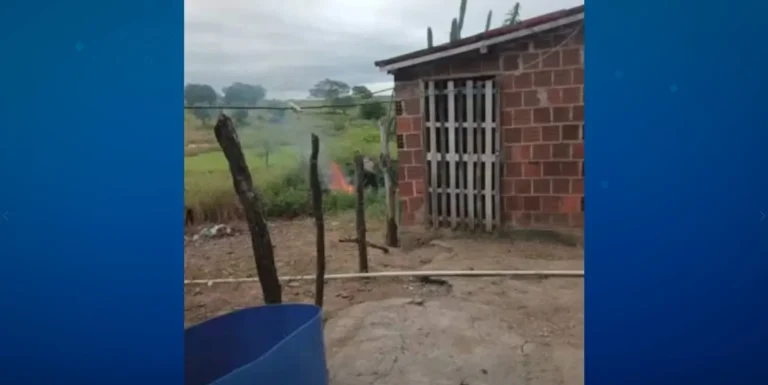 Homem é indiciado por matar cachorro
