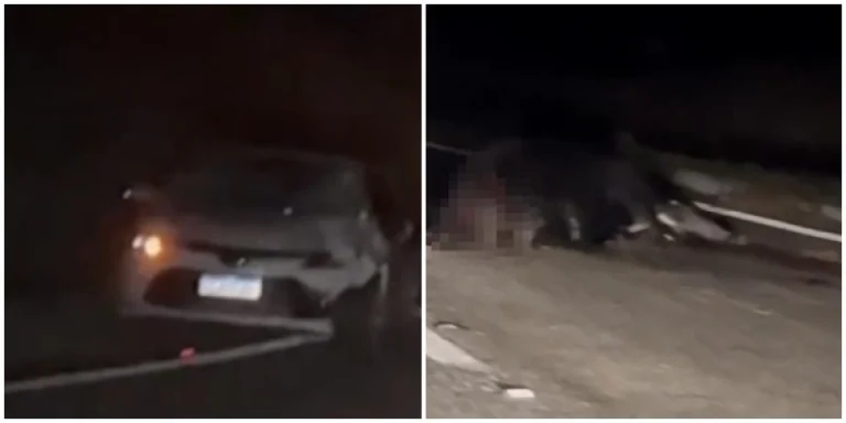Carro fica destruído após colidir com vaca em rodovia de Piancó