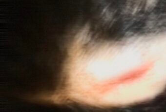 Avó é suspeita de agredir neto de 11 anos no Vale do Piancó