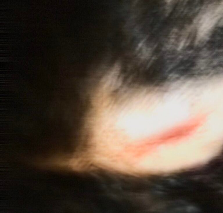 Avó é suspeita de agredir neto de 11 anos no Vale do Piancó