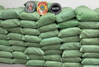 Homem é preso e mais de meia tonelada de maconha é apreendida em ação da PF